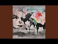 Professor Songlist Klz 
