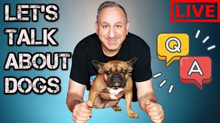 My dog is driving me crazy! Help!