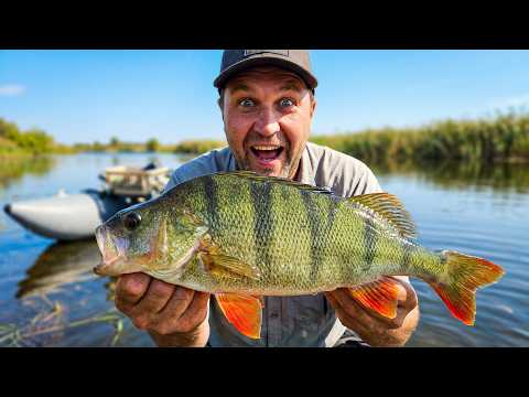 The SECRET to micro-jig perch fishing! Fishing and telling stories :)