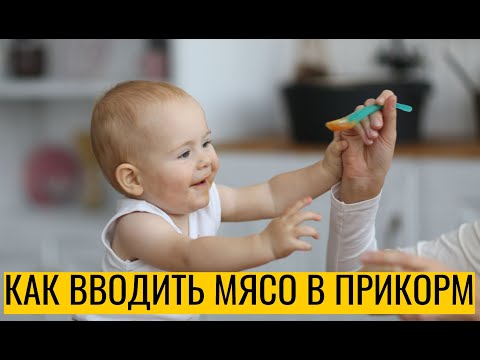 Когда и как вводить мясо в прикорм ребенку