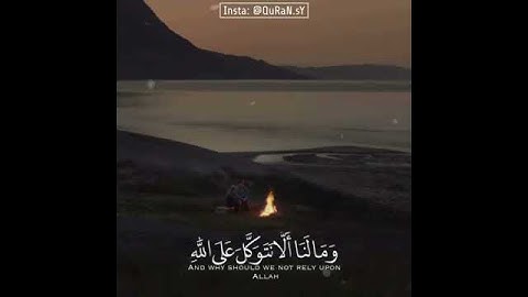 وما لنا ألا نتوكل على الله وقد هدانا سبلنا القارئ/ عبدالله القرافي الوصف⤵️⤵️