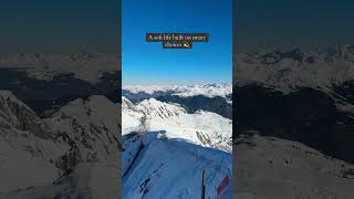 Affordable Luxe: A Glimpse Into My Soft Life screenshot 4