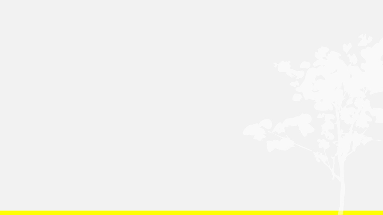 SIMULADO SARESP 2026 - 2º ano do Ensino Fundamental | Procedimentos de aplicação