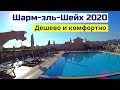 Египет 2020 конец года. Отпуск в отеле IL Mercato. Шарм-эль-Шейх. Цены, пляжи, отзыв