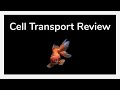 Cell Transport Mechanisms and Their Impact on Cells