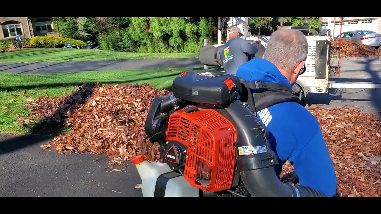 Leaf pick up for Ridge Landscaping. YouTube