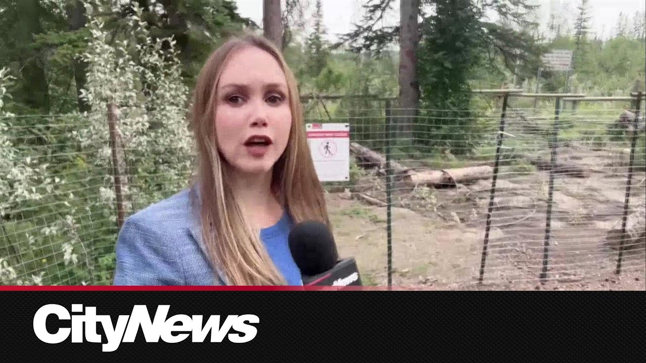 Fence construction is a concern for Griffith Woods Park visitors in Calgary