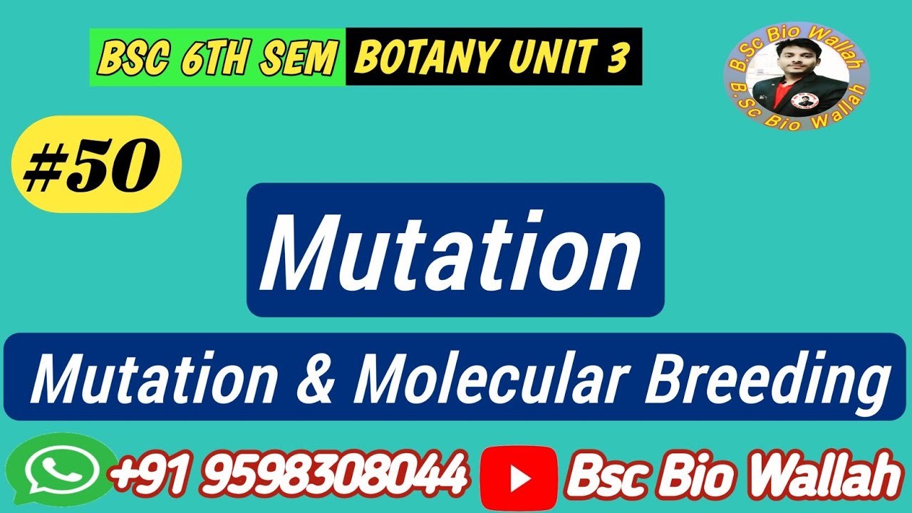 Mutation & Molecular Breeding | Plant Breeding | Bsc 6th sem Botany ...