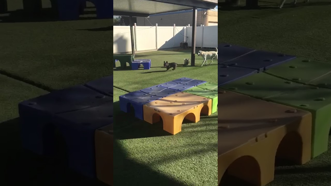 We’re playing outside today. 82degrees in the winter!