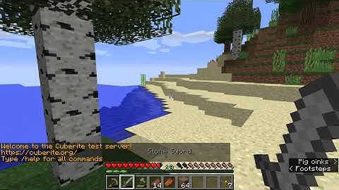 Raspberry Pi Zero W - Testing Minecraft Cuberite server