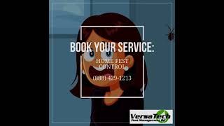 Get Rid of Pesky Pests & Rodents in Los Angeles County | Versa Tech PM