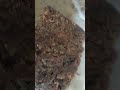 Raw Hing। Tazki Hing 8950424366 #asafoetida #food #shorts #viralreels #tadka #restaurante #youtube
