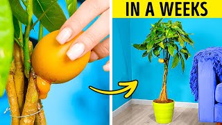 Gardening Hacks: Useful Tips and Tricks for Plant Lovers 🪴