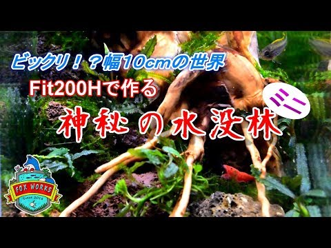 No.066　Fit200Hで作る神秘の水没林ミニ