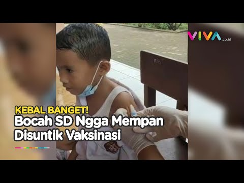 VIRAL! Bocah SD Kebal Disuntik Vaksin, Begini Faktanya