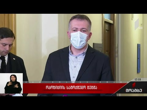 ოპოზიციის სამოქმედო გეგმა