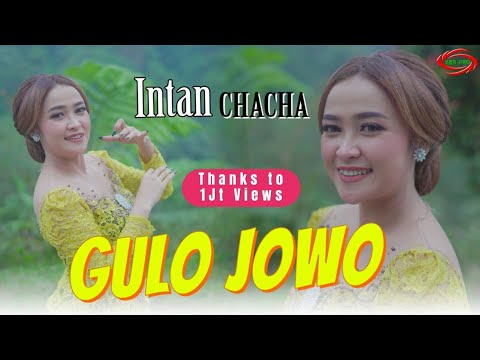 Video Gulo Jowo
