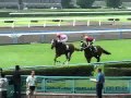 ケーユーカンパニー小倉競馬　フェニックス賞　本馬場入場