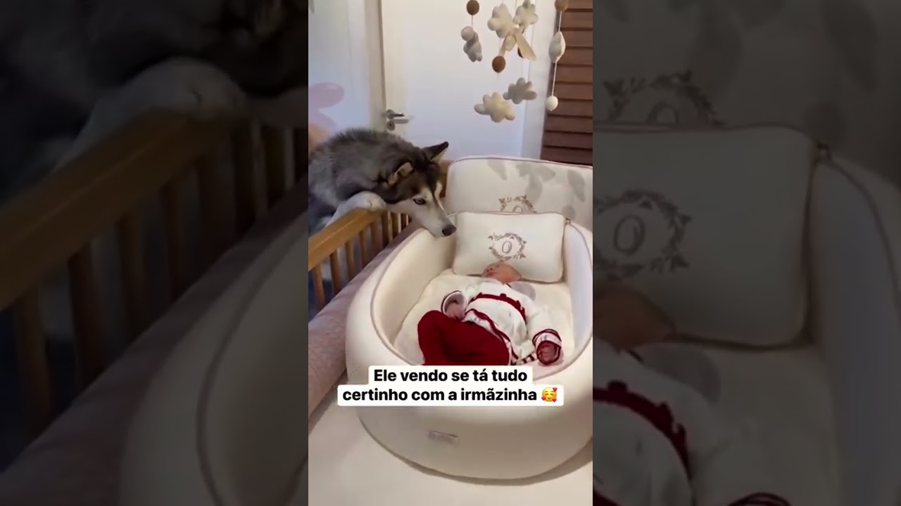 VENDO SE ESTÁ TUDO CERTO COM A IRMÃ: