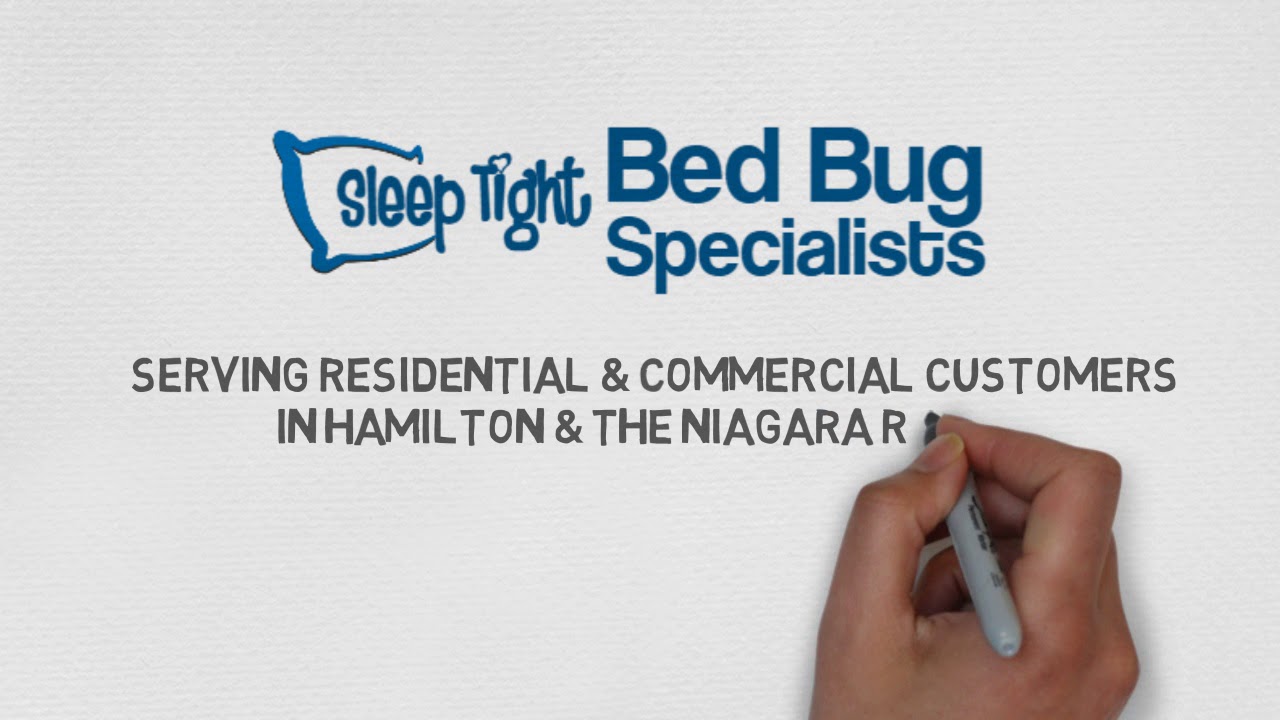 Bed Bug Extermination in St. Catharines Sleep Tight Bed Bug