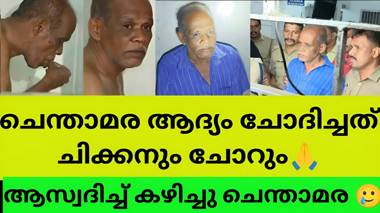 Chenthamara case | chenthamara case nenmara | nenmara chenthamara case ...