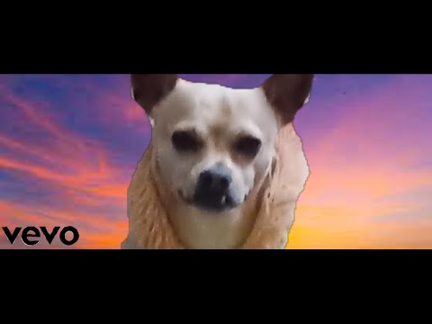 Let it happen (in-official video) |EIMP