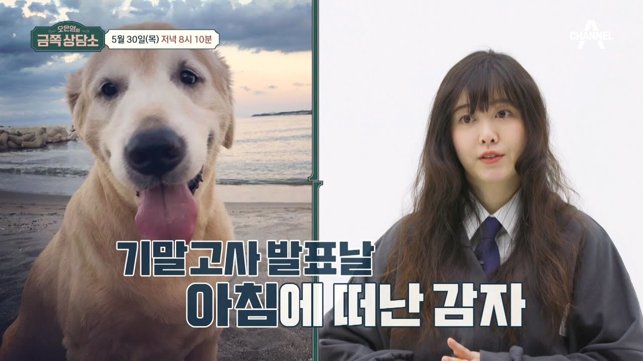 [선공개] ＂일단 안 믿겨요＂ 반려견 감자가 떠난 해 내내 상실감 전에 현실감이 없었던 구혜선 | 오은영의 금쪽 상담소 134 회