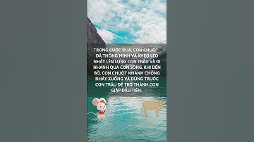 Nguồn gốc về 12 con giáp trong văn hóa Trung Quốc - Tượng TV