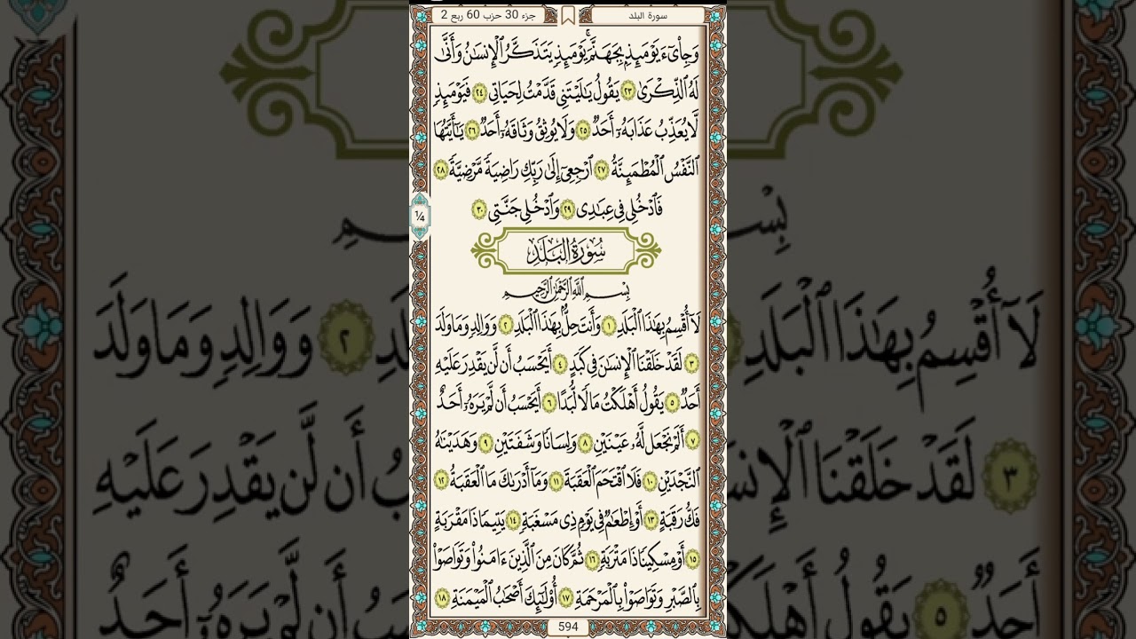 ٥٩١ : ٥٩٧ الأعلى إلى التين الشيخ عبدالغني الشيخ 