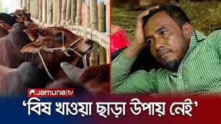 পাওনাদারের ভয়ে বাড়ি ফিরতে চান না ব্যাপারীরা! | Eid Cow Haat | Jamuna TV