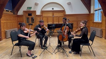 Danish String Quartet - Shine You No More
