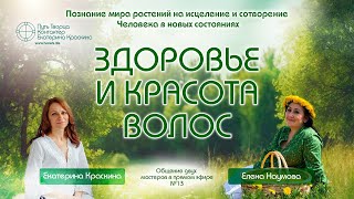Здоровье и красота волос | Познание мира растений №13