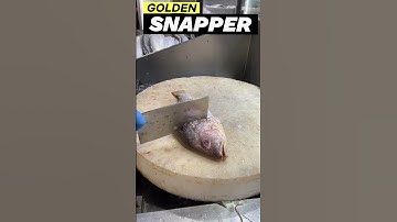 Famous Golden Snapper Fish Cutting Skill#youtubeshorts #youtube #shortsvideo #shorts #short