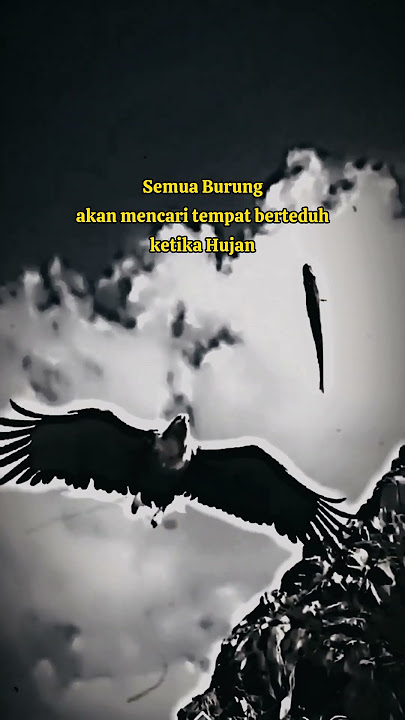 Story WA keren Elang🔥kata bijak@EmRuudstory #storywa #motivation #animals #shorts #youtubeshorts