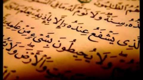 سورة العصر / محمد أيوب