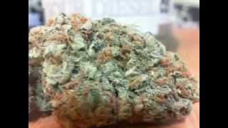 Silverback OG Strain Review / Pineapple OG Sexy oil