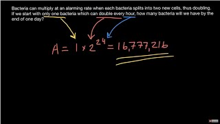How to calculate exponential growth of bacteria