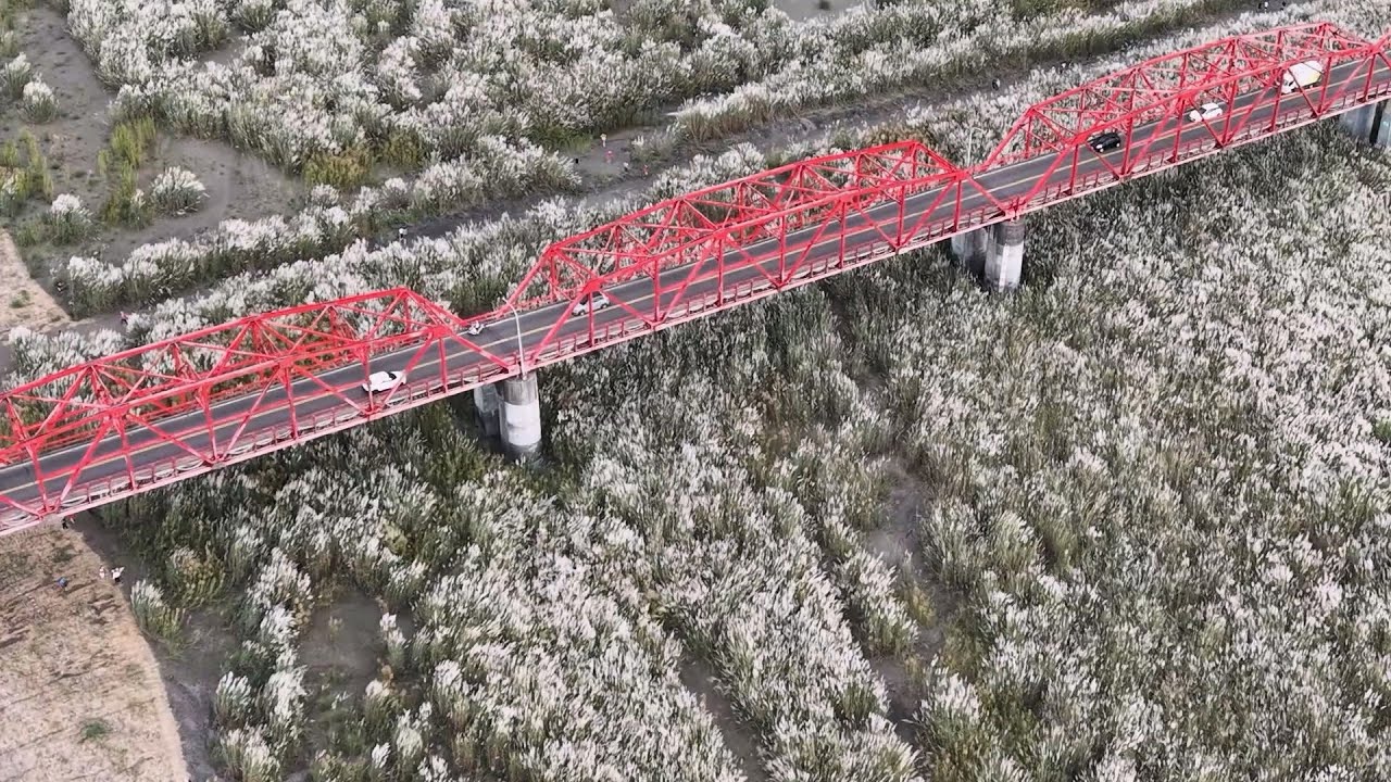 雲林．西螺大橋【九月雪】