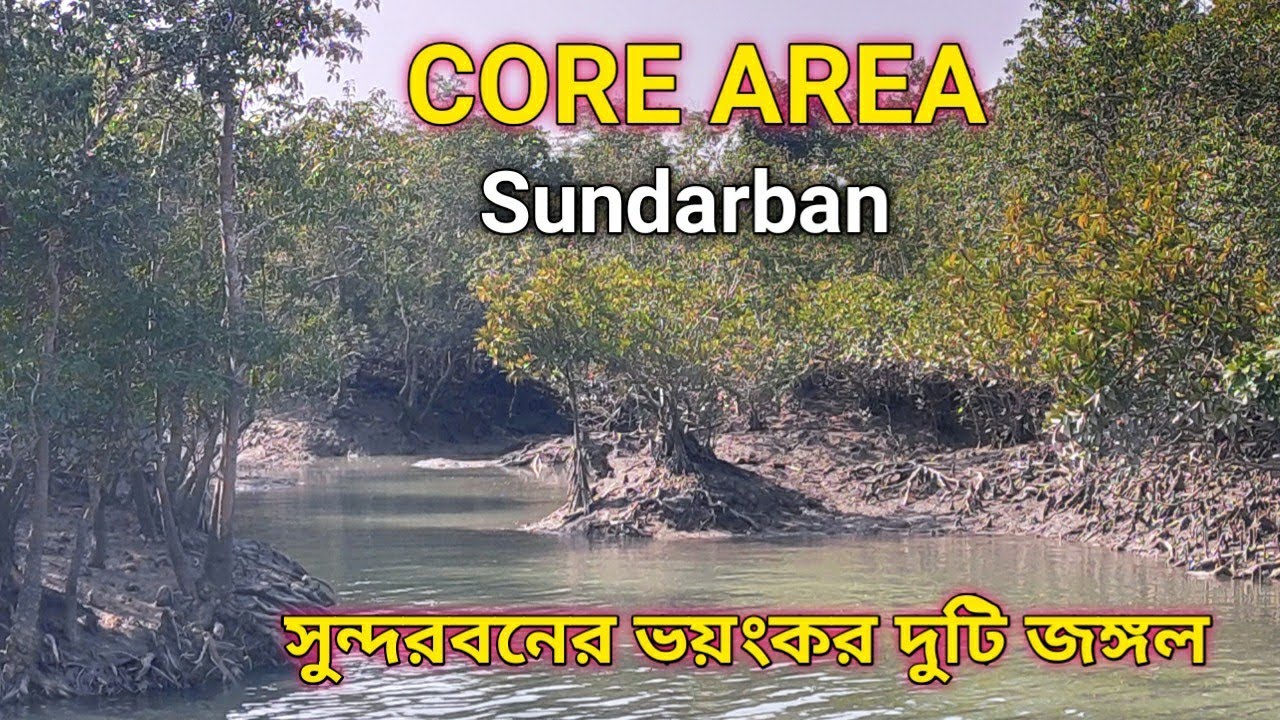 সুন্দরবনের ভয়ঙ্কর দুটি জঙ্গল যেখানে টুরিস্টদের প্রবেশ নিষিদ্ধ । Restricted areas of sundarban