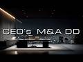CEO's Due Diligence | M&amp;A Analysis Ambience for Strategic Focus