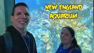 New England Aquarium (2024)