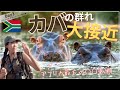 Day3「サファリガイド学校」短期体験ツアー!圧巻の夕焼け!カバと歩いて大接近!