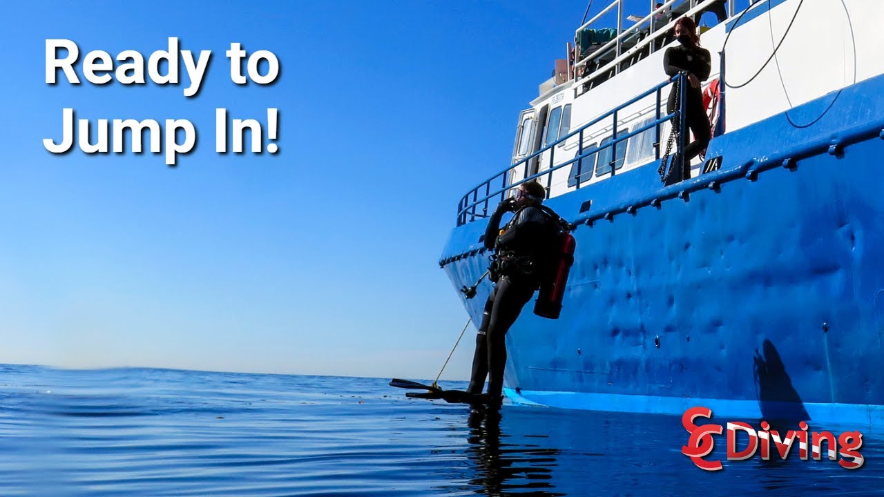 AOW & Rescue Students | Anacapa Island
