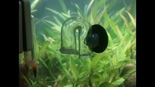 DIY co2 indicator for planted Aquarium