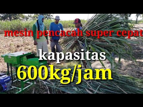 Video: Penghancur Rumput Taman Dan Cabang: Peringkat Model Listrik Terbaik Untuk Daun, Mesin Penghancur Worx WG430E, Ulasan