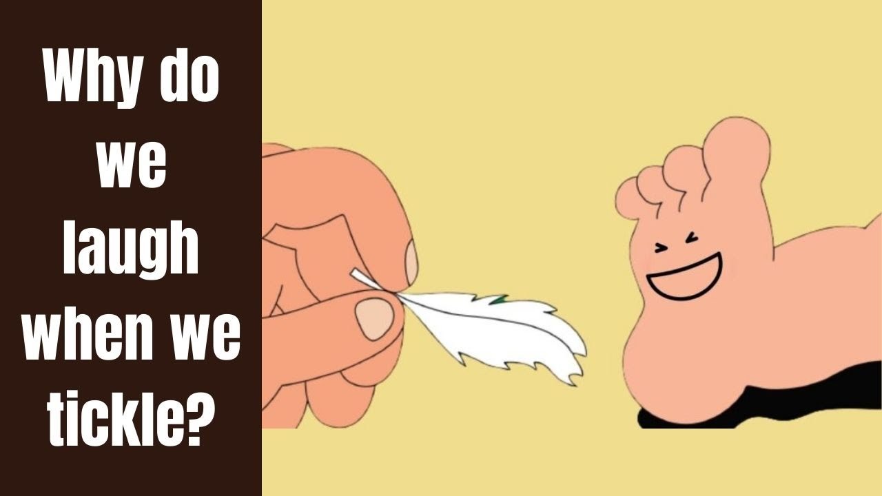 Why Do We Laugh When We Tickle - YouTube