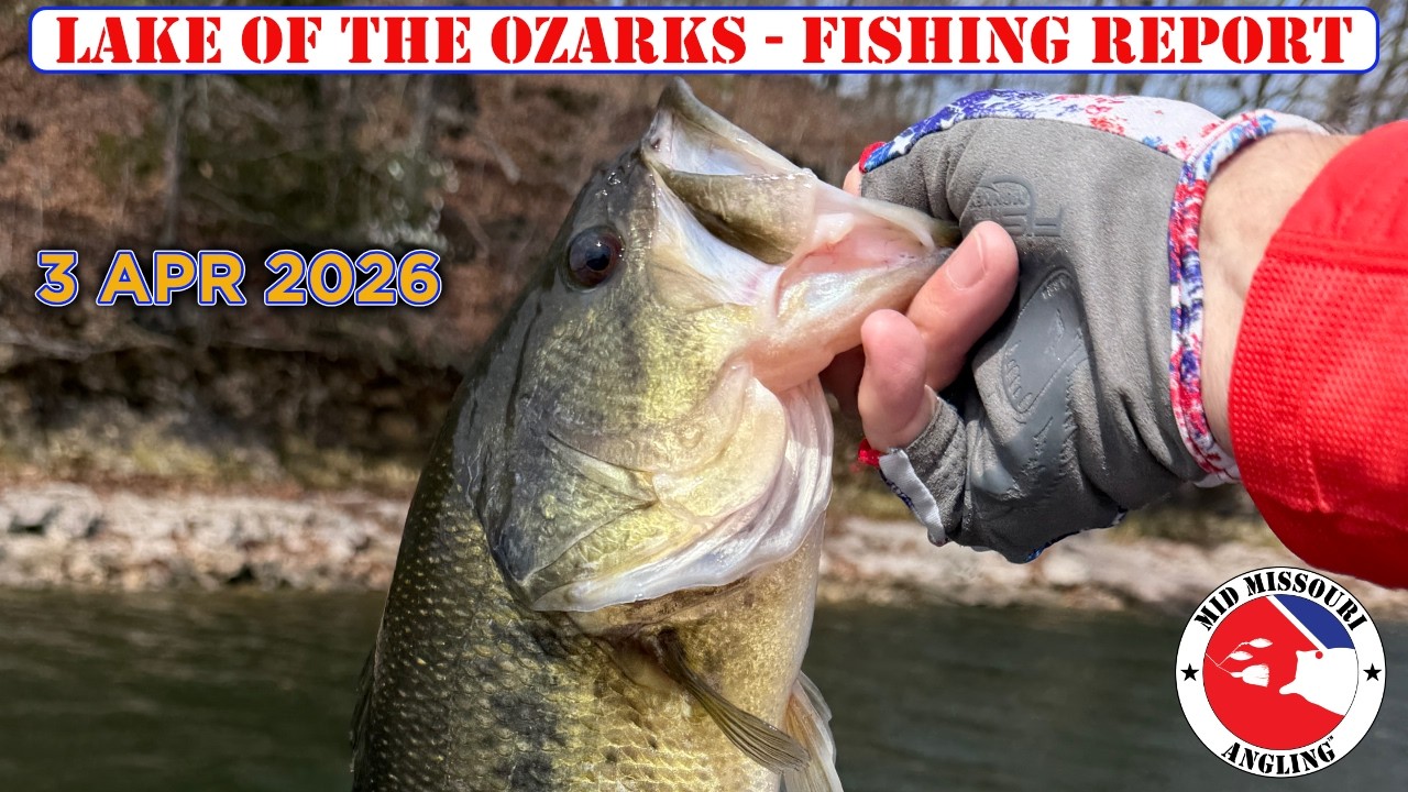 Lake of the Ozarks Bass Fishing – 3 Apr 2026 | Fishing report