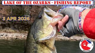 Lake of the Ozarks Bass Fishing - 3 Apr 2026 | Fishing report