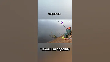 Ловля чехони на фидер. Как ловить чехонь на падении