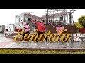 Señorita - Shwan Mendes | Dance Cover | Love Story By | Arjun Tak |